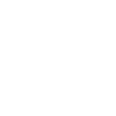 GT25LogoWhiteTextTransparent
